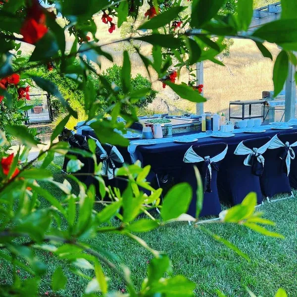 Party table setup in a garden with flowers